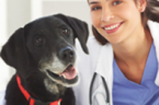 VCA Associates in Pet Care Animal Hospital