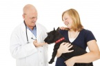 Bloomingrove Veterinary Hospital