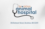 Brockton Animal Hospital