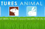 All Creatures Animal Hospital