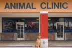 Sobol Veterinary Hospital