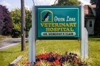 Green Lane Veterinary Hospital