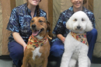 Healthy Paws Veterinary Center