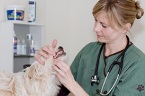 VCA Hope Veterinary Clinic