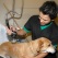 Our Veterinary Assistant Team