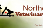 Northeast Veterinary Clinic