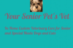 Your Senior Pets Vet