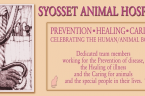 Syosset Animal Hospital