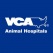 Amanda Henkel -Registered Veterinary Technician