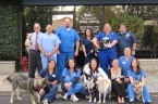 VCA El Rancho Animal Hospital