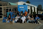 VCA Marina Animal Hospital